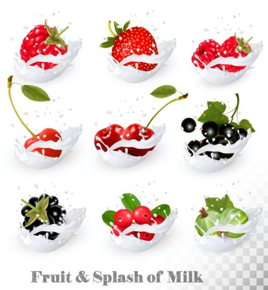 Illustration de vecteur de lait de fruit et d’éclaboussure 03 splash lait fruits   