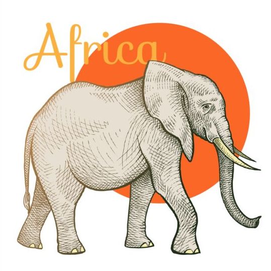 Vecteur d’éléphant d’Afrique elephant Afrique   