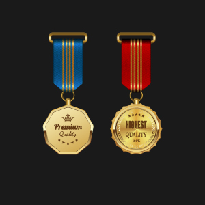 Wunderschöner Medaillenvergabe-Vektor 01 Medaille herrlich award   
