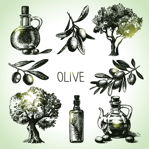 Handgezeichnete Olivenelemente Vektorsymbole Oliven Ikonen icon Handzeichnung   