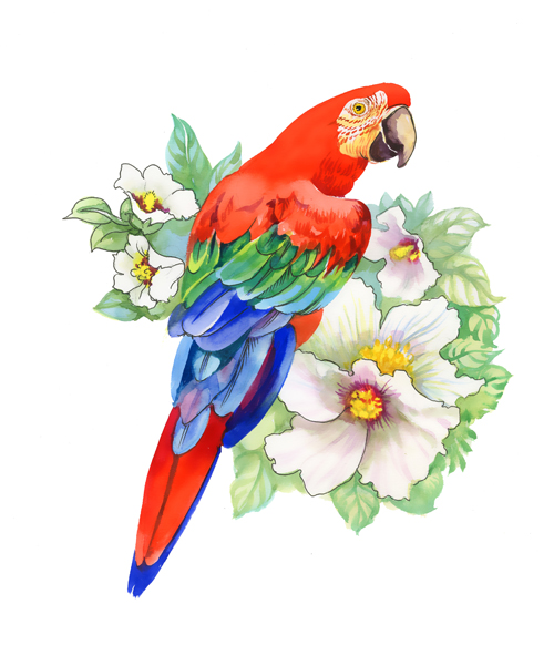 花の描かれた水彩画の鳥ベクターデザイン05 鳥 花 水彩   