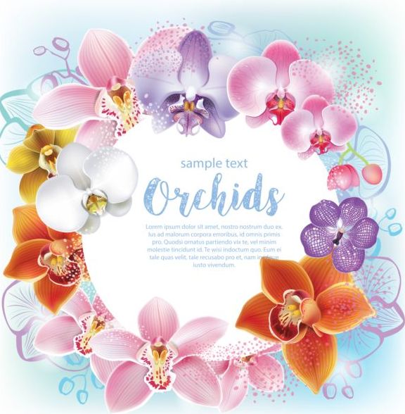 Belles orchidées fleurs vecteur fonds 04 orchidées fleurs Belle   