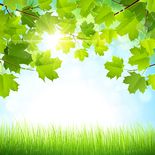 太陽光ベクトル背景を持つ夏の緑の葉03 背景 緑の葉 日光 夏 休暇 ベクトルの背景   