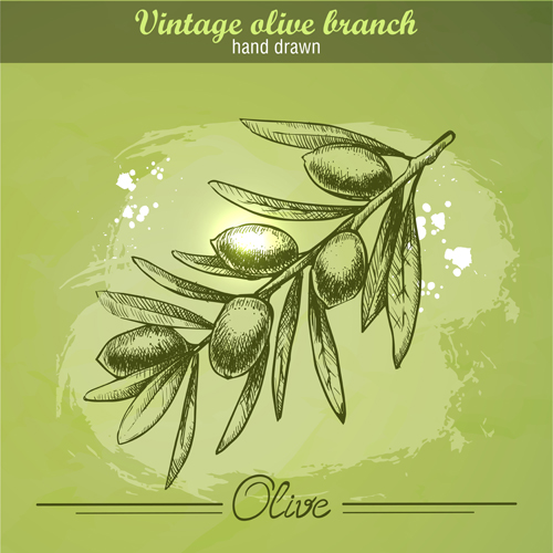 Vintage Olivenkranch handgezeichnete Vektor 01 vintage olive hand gezeichnet cranch   