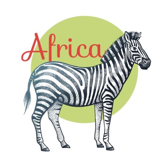 アフリカゼブラベクトル シマウマ アフリカ   