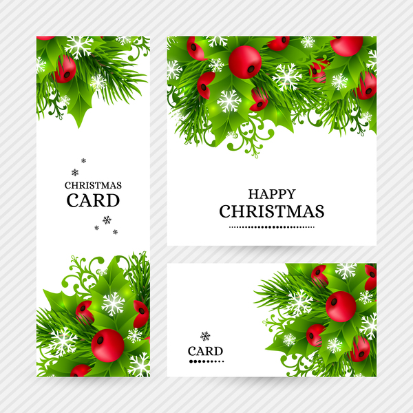 Cartes de Holly de Noël Design vecteur 06 Noël holly cartes   