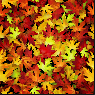 現実的な秋の葉パターンベクトルグラフィックス06 葉 秋の葉 秋 現実的な パターン   