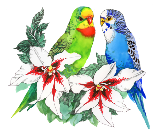 Aquarelle dessinée oiseaux avec des fleurs vecteur Design 04 oiseaux fleurs aquarelle   