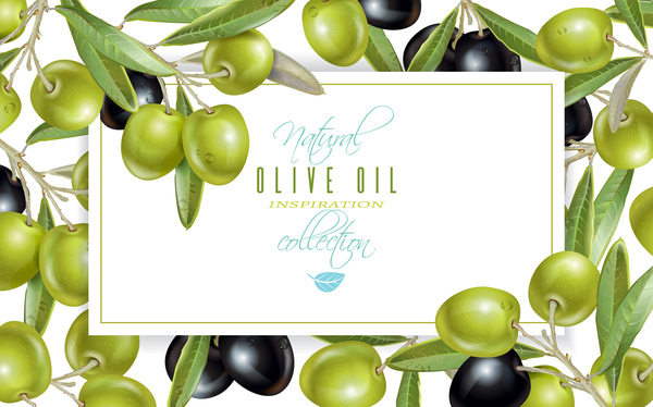 Matériau vectoriel de trame d’olives olives cadre   
