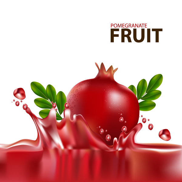 Vecteur d’illustration de fruit de Grenade réaliste 09 réaliste grenade fruits   