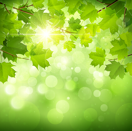緑の葉背景ベクトル03と春の日差し 葉の背景 葉 背景 緑の葉 春 日光   