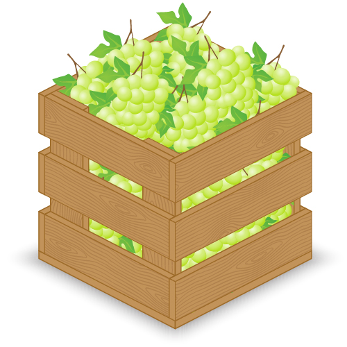 Fruits avec des graphiques de vecteur de caisse en bois 02 fruits en bois caisse en bois caisse   