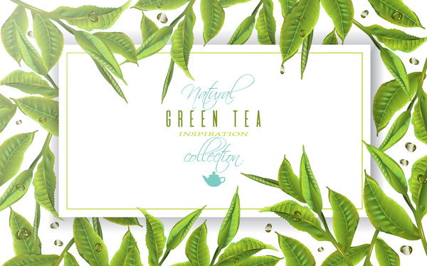 緑茶フレームベクター材料 茶 緑 フレーム   