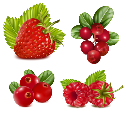 Ensemble de vecteur de fruits rouges rouge fruits design   