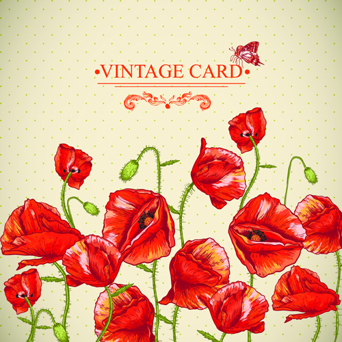 Retro rote Poppies Karten Vektorgrafik 04 Vektorgrafik rot Retro-Schrift Mohn   