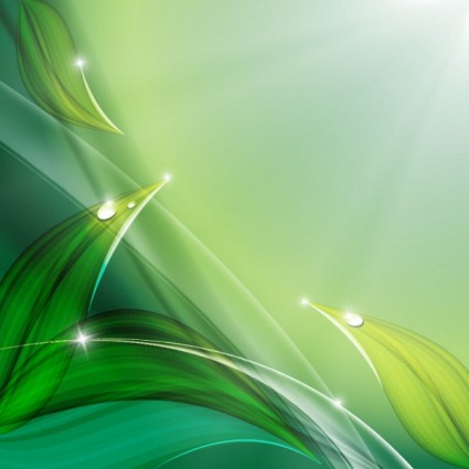 Feuilles vertes avec la goutte d’eau Eco fond 04 vert fond feuille brillant   