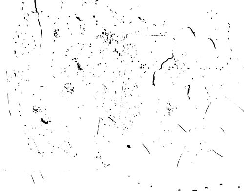 Matière vectorielle de texture noire de speckle 04 texture speckle Noir   