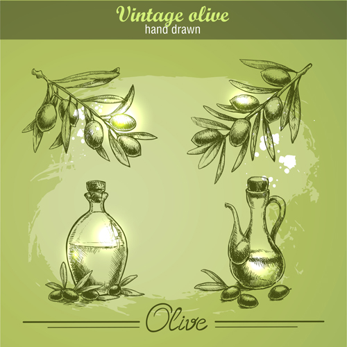 Dessiné à la main Vintage olive Vector 03 vintage olive main dessiné   