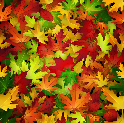 Feuilles d’automne réalistes motif Vector Graphics 05 réaliste motif feuilles d’automne automne   