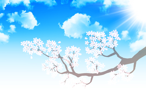 Sakura avec le fond bleu de vecteur de ciel 01 sakura fond ciel Bleu   