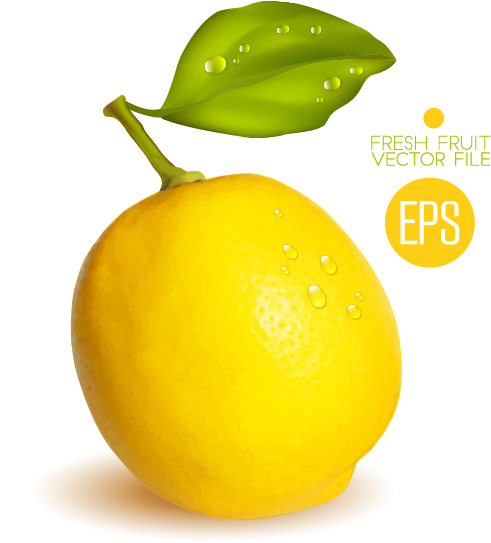Frisches Zitronenglänzen-Vektormaterial 01 shiny lemon fresh   