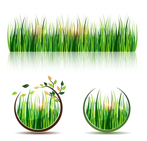 Vecteur écologique d’éléments écologiques d’herbe verte vert herbe verte elements element eco   