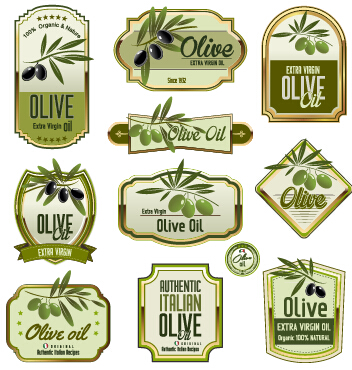Étiquettes d’huile d’olive vert ensemble vecteur 01 vert olive huile d’olive étiquettes   