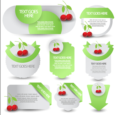 Grüne Webetiketten und Fruchtvektor Obst grün Etiketten Etikett   
