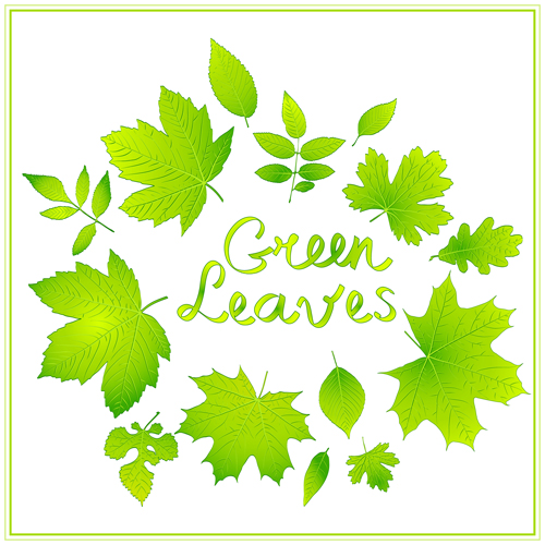 Glänzend grün lässt Vektorhintergrund shiny Hintergrund grüne Blätter   