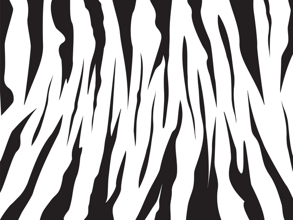 Zebra sans soudure motif matériaux vecteurs ensemble 03 zèbre sans soudure modèle   