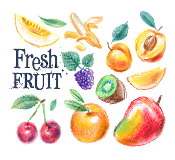 Farbige gezogene Früchte Vektormaterial 06 Obst gezeichnet gefärbt   