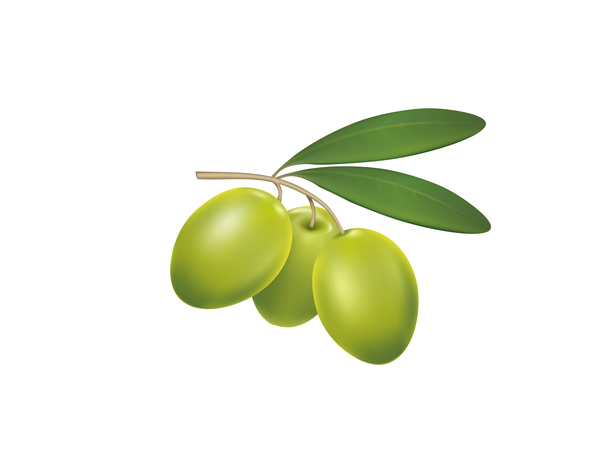 Olives vertes sur un vecteur de fond blanc olives gree blanc   