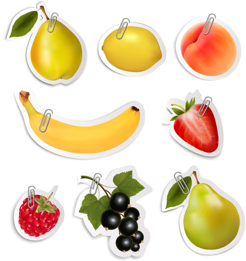 Glänzende Früchte Aufkleber Vektor-Set Grafik 02 sticker shiny Obst   