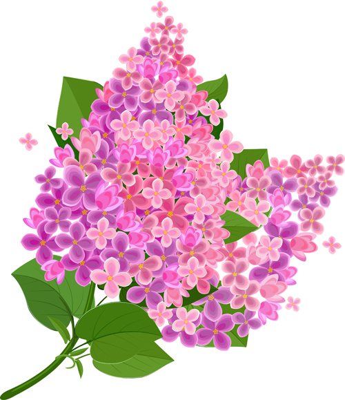 Gree Blatt mit rosa Blumenhintergrundvektor 01 pink Hintergrundvektor Hintergrund Blumenhintergrund Blume Blatt   