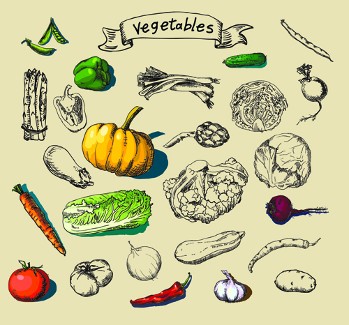 Matériel de vecteur créatif de légumes dessinés à la main matériel vectoriel matériel légumes dessiné à la main Créatif   