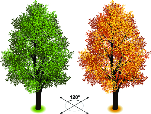 Kreative isometrische Bäume entwerfen Vektor 03 Kreativ isometrisch Bäume   