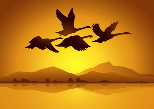 Flying swan mit Sonnenuntergang Hintergrundvektor 02 Sonnenuntergang schwan Hintergrund fliegen   