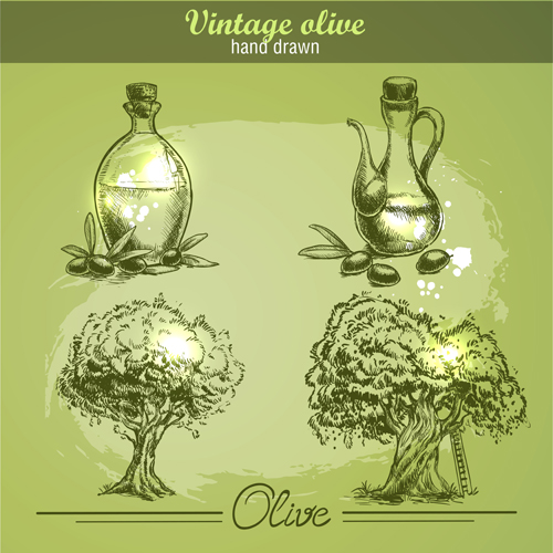 Handgezeichneter Vintage Olivenvektor 01 vintage Oliven hand gezeichnet   