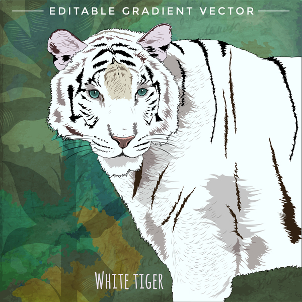 Tigre blanc dessiné à la main vecteur tigre main dessiné blanc   