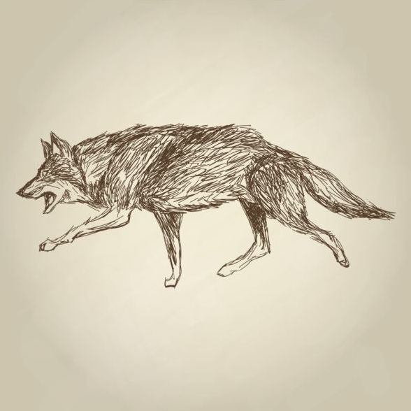 Loup à la main dessin Design vecteur matériel 05 main loup   