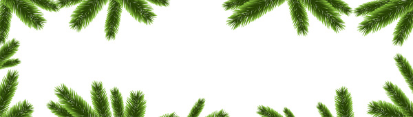 Branches de pin de Noël cadre décor vecteur 02 pin Noël decor cadre branches   