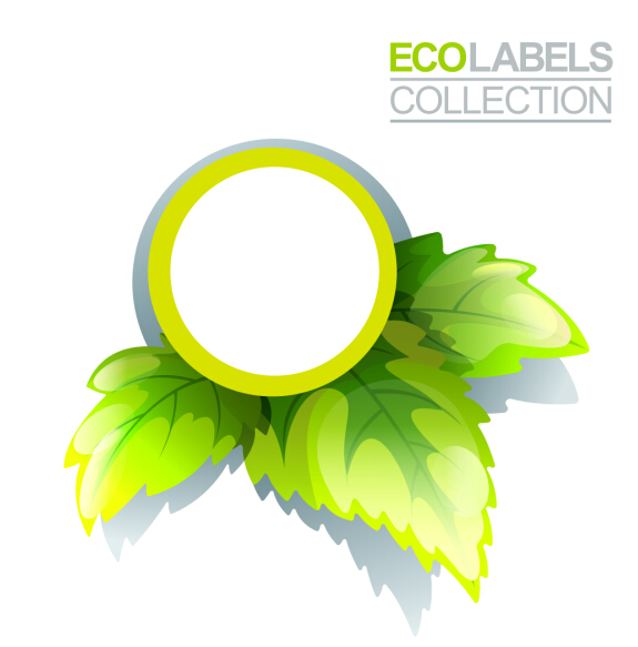 Étiquettes éco avec des feuilles vertes vecteur 06 vert feuilles étiquettes eco   