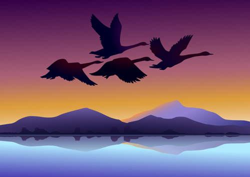 夕焼け背景ベクトル01と飛ぶ白鳥 背景 白鳥 日没   