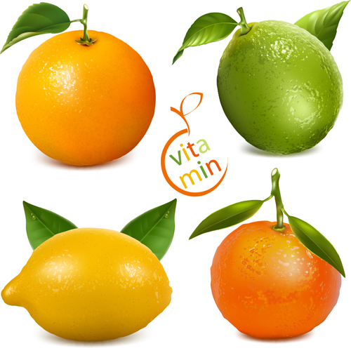 Matériau vectoriel orange et citron frais orange matériel frais Citron   