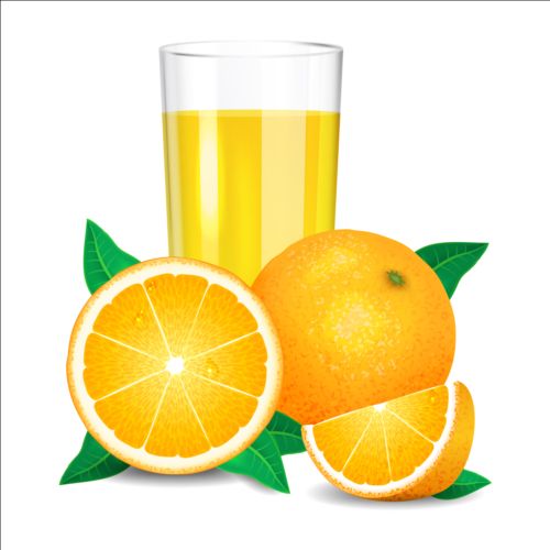 Matériel vectoriel de jus d’orange frais 02 orange jus frais   