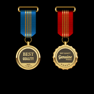 Magnifique médaille vecteur de récompense 07 prix Medaille magnifique   