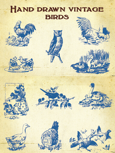 Main dessin Vintage oiseaux vecteur matériel vintage oiseaux matériel Dessin à la main   