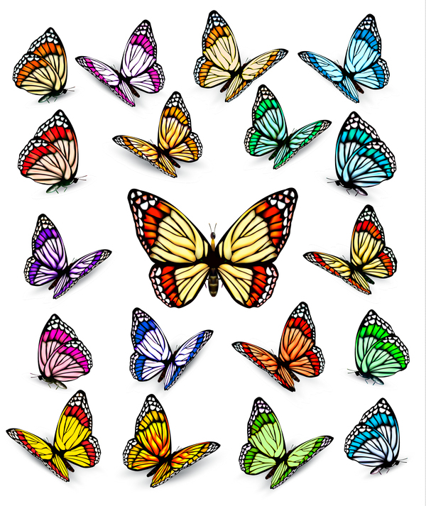 Ensemble de papillons colorés vecteur matériel 06 papillons coloré   