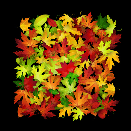 L’automne laisse beau fond art 02 fond feuilles d’automne automne   