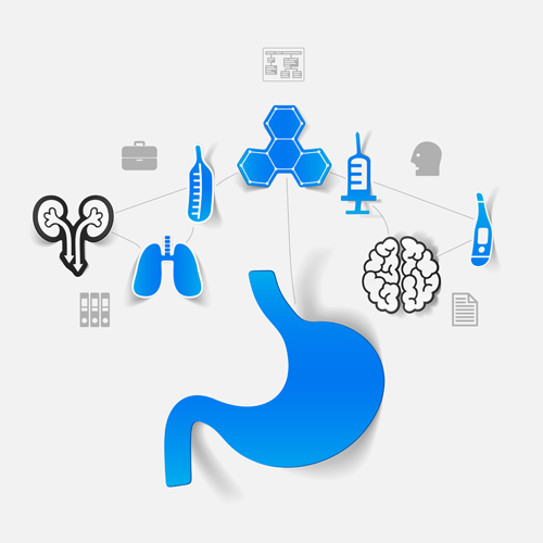 Medizinische Infografik mit Aufklebervektor-Set 25 sticke Medizin Infografik   